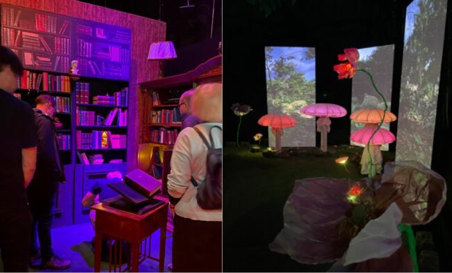 Interdisziplinäre Installation „Ex Libris“